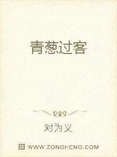《青葱过客》小说封面