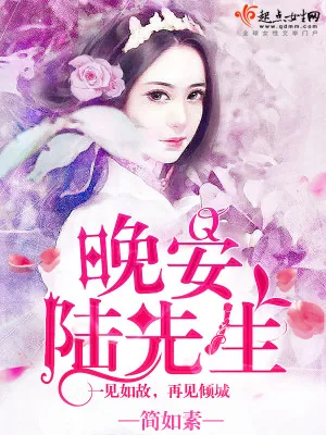 《晚安，陆先生》小说封面