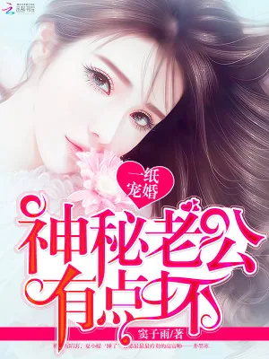 《一纸宠婚:神秘老公有点坏》小说封面