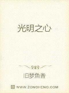 《光明之心》小说封面