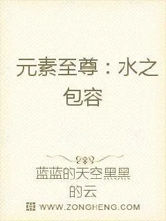 《水之至尊》小说封面