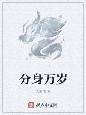 《分身万岁》小说封面
