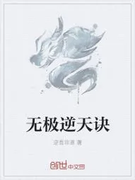 《无极逆天诀》小说封面