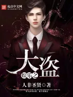 《娱乐之大盗》小说封面