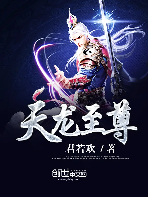 《天龙至尊》小说封面