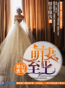 《婚后蜜宠:萌妻至上》小说封面
