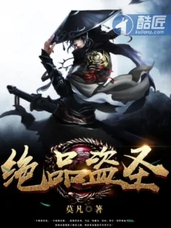 《绝品盗圣》小说封面