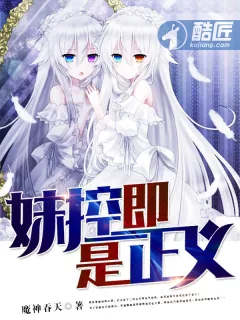 《妹控即是正义》小说封面