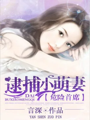 《危险首席：逮捕小萌妻》小说封面