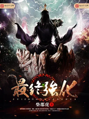 《最终强化》小说封面