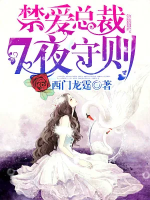 《总裁大人，7页守则》小说封面