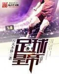《足球皇帝》小说封面