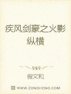 《疾风剑豪纵横火影》小说封面