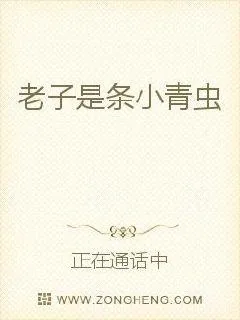 《老子是条小青虫》小说封面