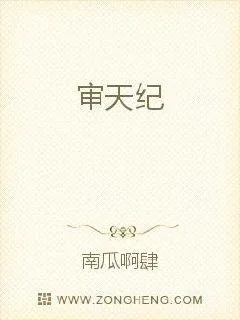 《审天纪》小说封面