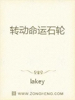 《转动命运石轮》小说封面