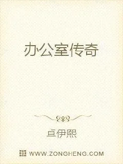 《办公室传奇》小说封面