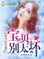 《沈少心尖宠:宝贝,别太坏》小说封面