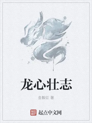 《龙心壮志》小说封面
