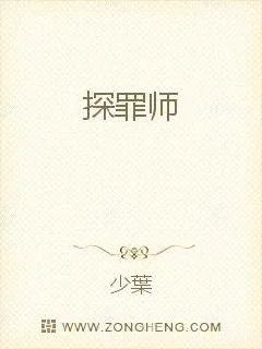 《探罪师》小说封面