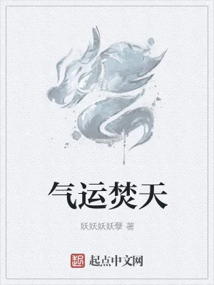 《气运焚天》小说封面