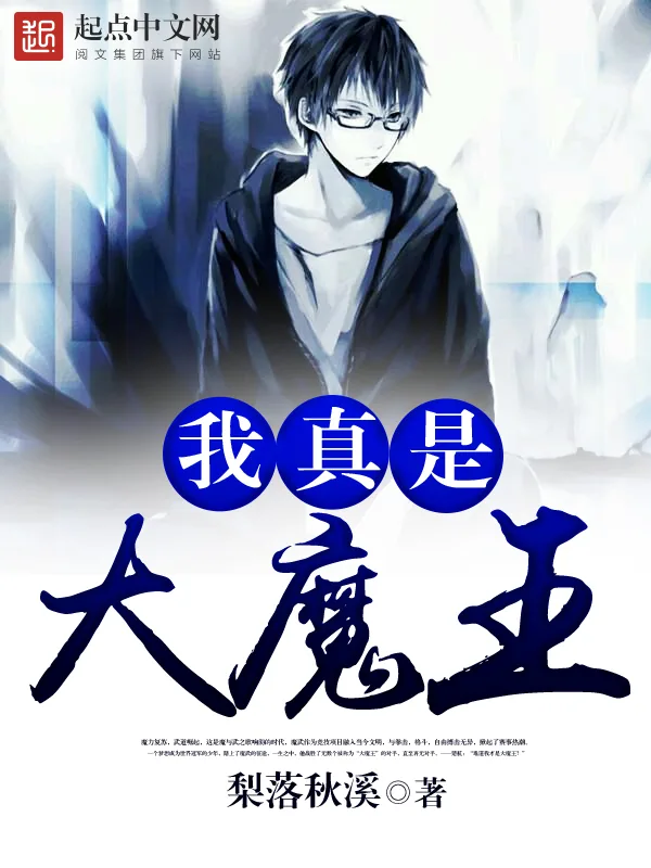 《我真是大魔王》小说封面