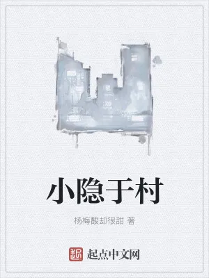 《小隐于村》小说封面