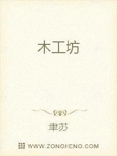 《木工坊》小说封面