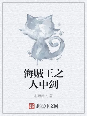 《海贼王之人中剑》小说封面