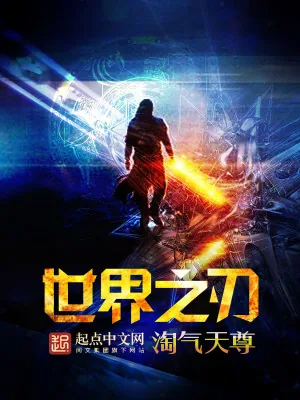 《世界之刃》小说封面