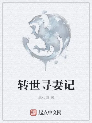 《转世寻妻记》小说封面