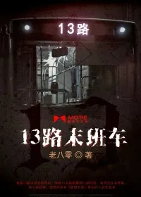 《13路末班车》小说封面