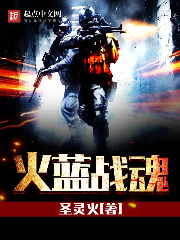 《火蓝战魂》小说封面
