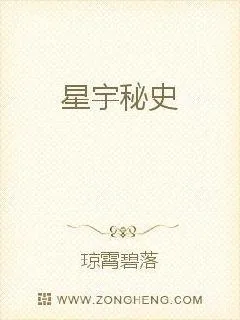 《星宇秘史》小说封面