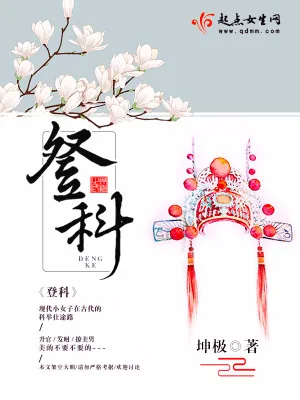 《登科》小说封面