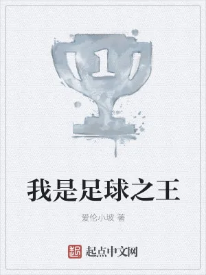 《我是足球之王》小说封面