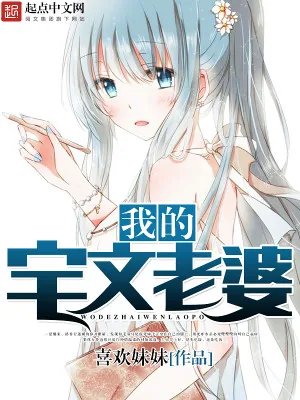 《我的宅文老婆》小说封面