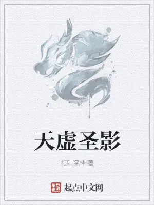 《天虚圣影》小说封面