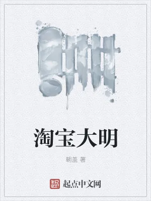 《淘宝大明》小说封面