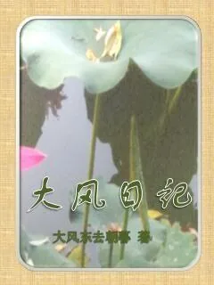 《大风日记》小说封面