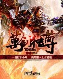 《万剑独尊》小说封面
