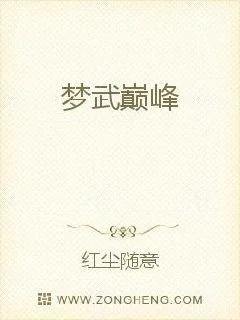 《梦武巅峰》小说封面