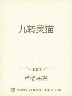 《九转灵猫》小说封面