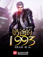 《奶爸的1993》小说封面