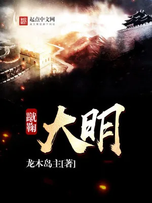 《蹴鞠大明》小说封面