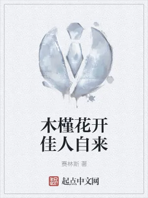 《木槿花开佳人自来》小说封面