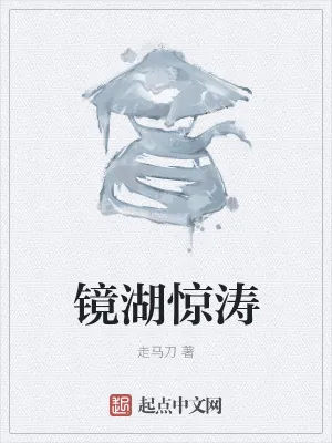 《镜湖惊涛》小说封面