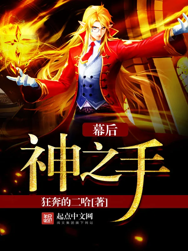 《幕后神之手》小说封面