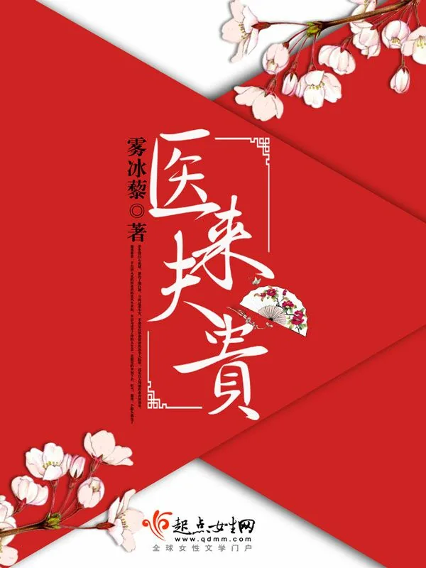 《医来夫贵》小说封面