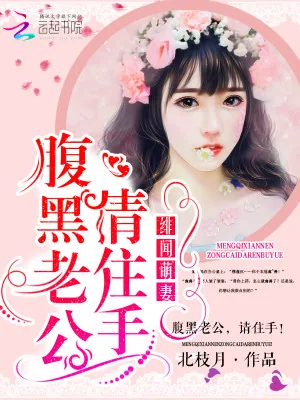 《绯闻萌妻:腹黑老公,请住手!》小说封面